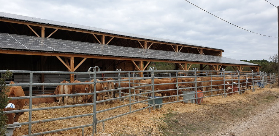 bâtiment d'élevage avec panneaux photovoltaïques