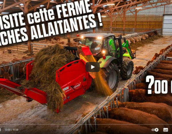 Bâtiment vaches allaitantes Roiné