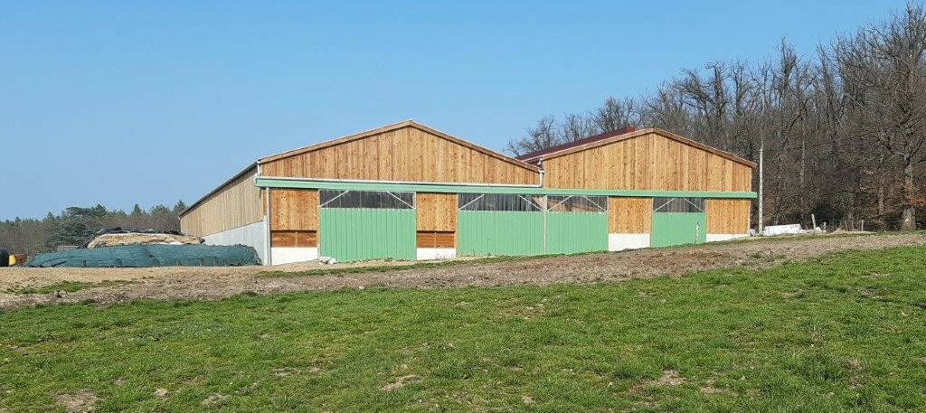 Stabulation laitière robotisée Roiné dans la Loire