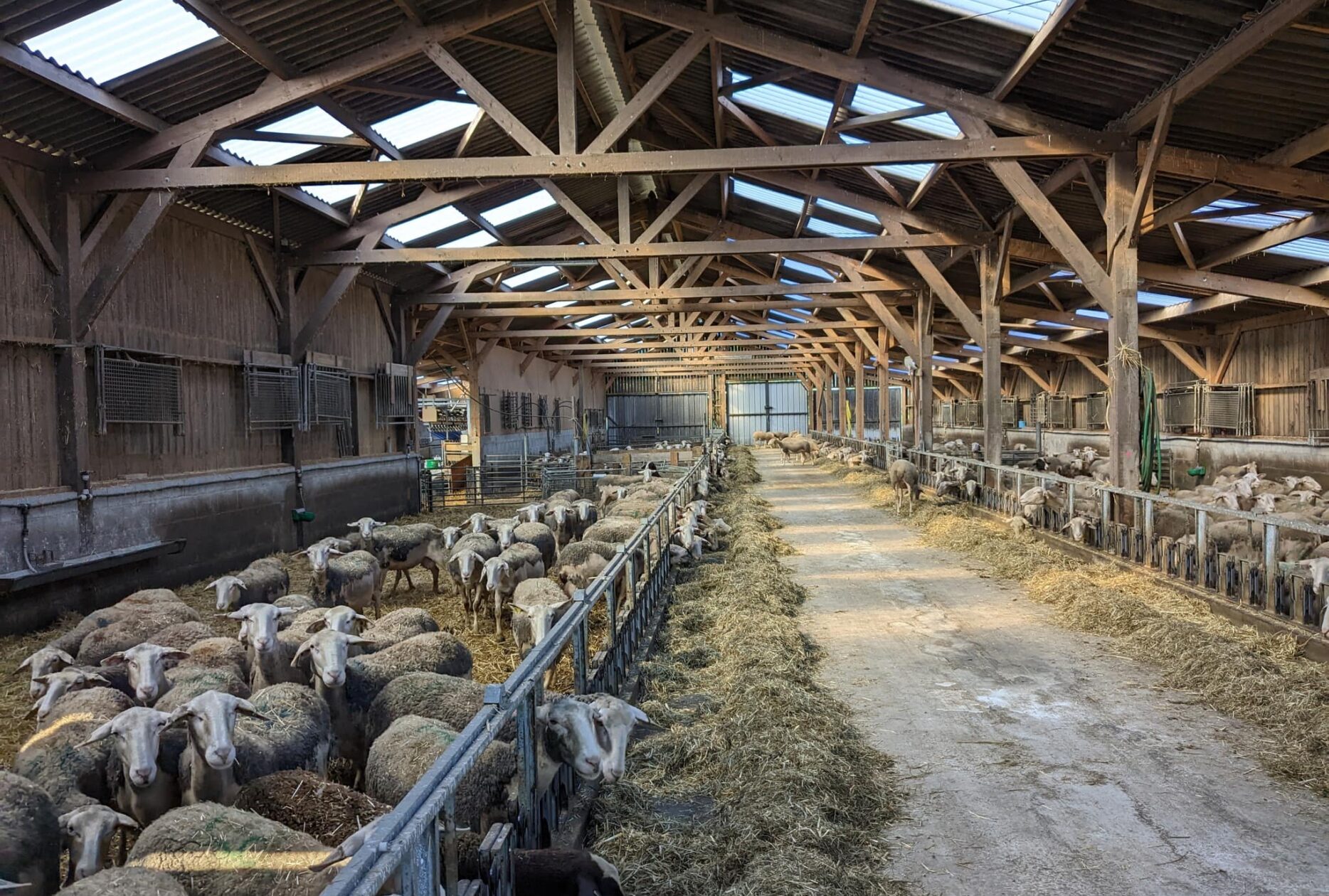 Bergerie en bois Roiné en Ille-et-Vilaine