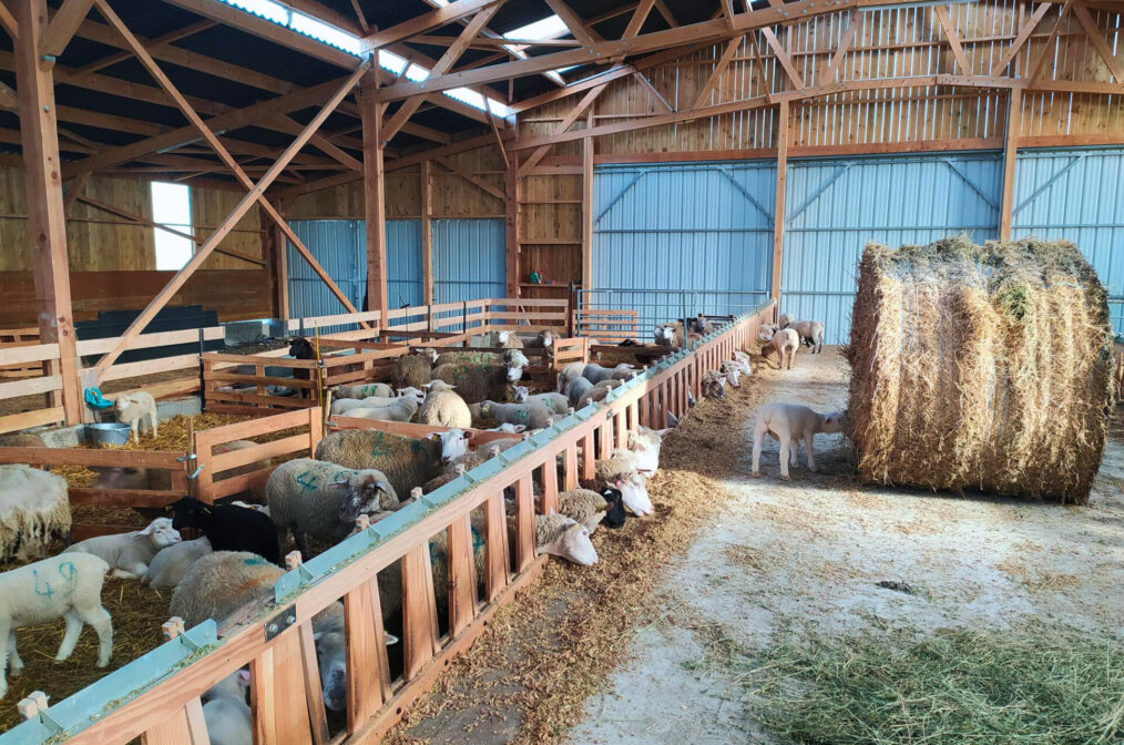 Bergerie en Indre-et-Loire (37)