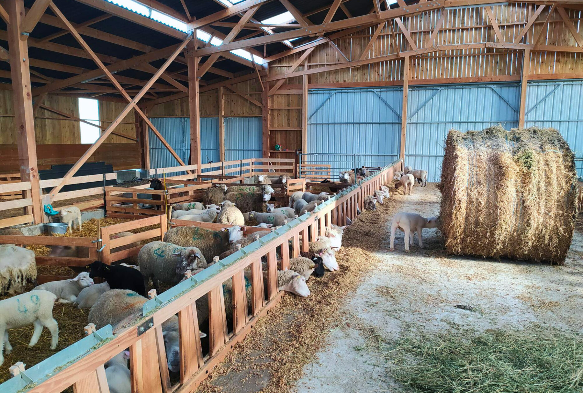 Bergerie en Indre-et-Loire (37)