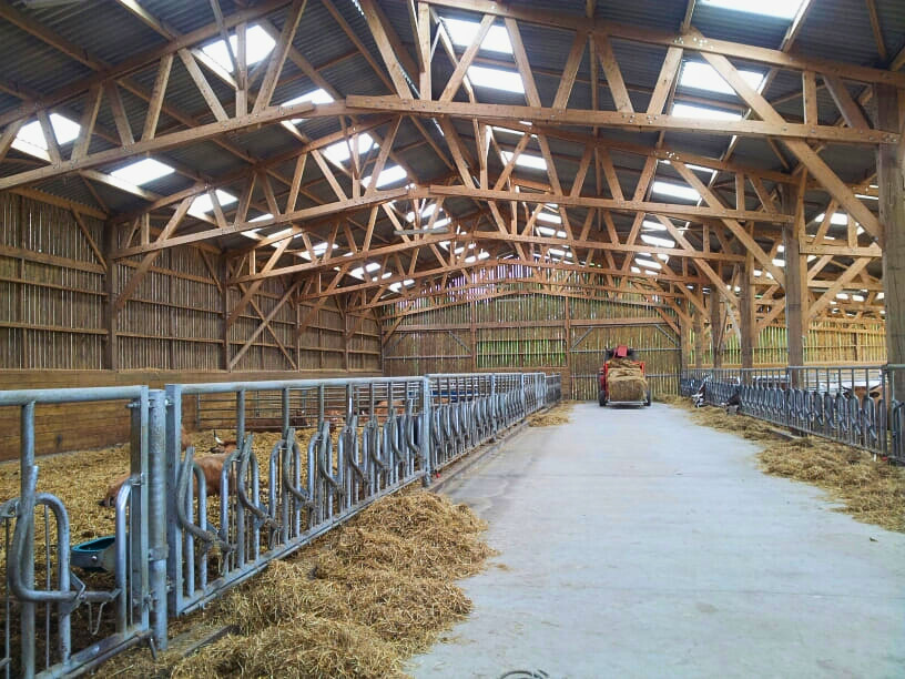 Stabulation vaches allaitantes en bois