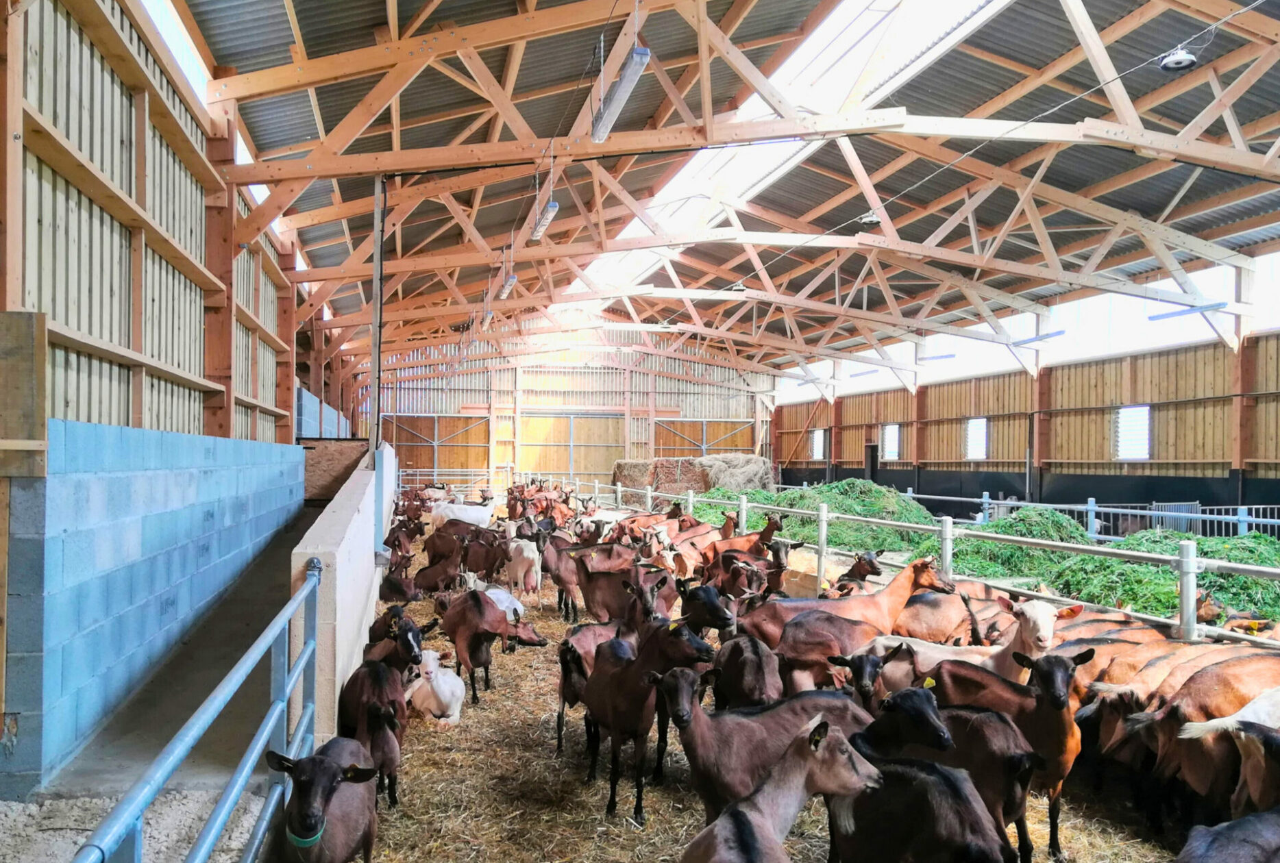 Chèvrerie en bois