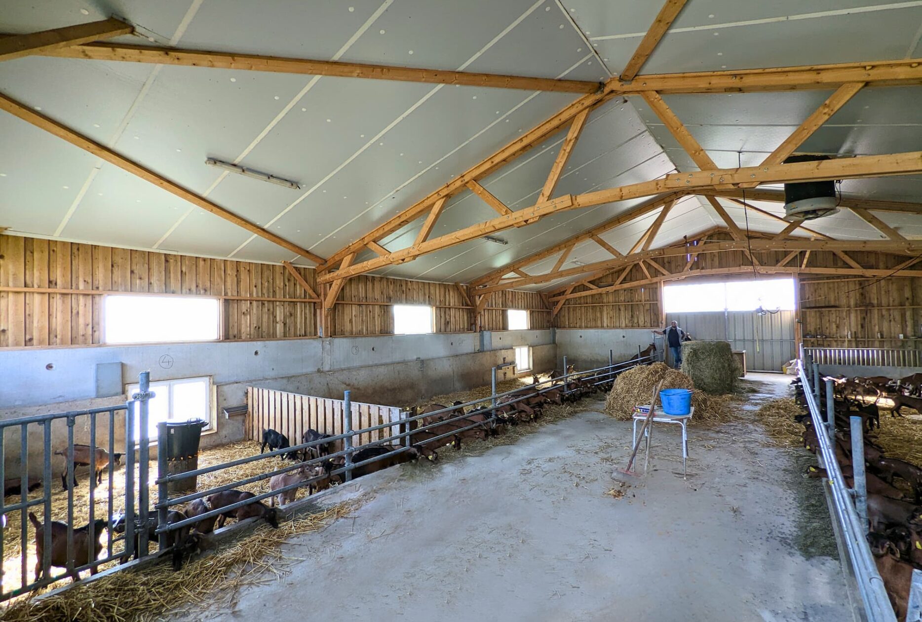 Nurserie chevreaux en bois