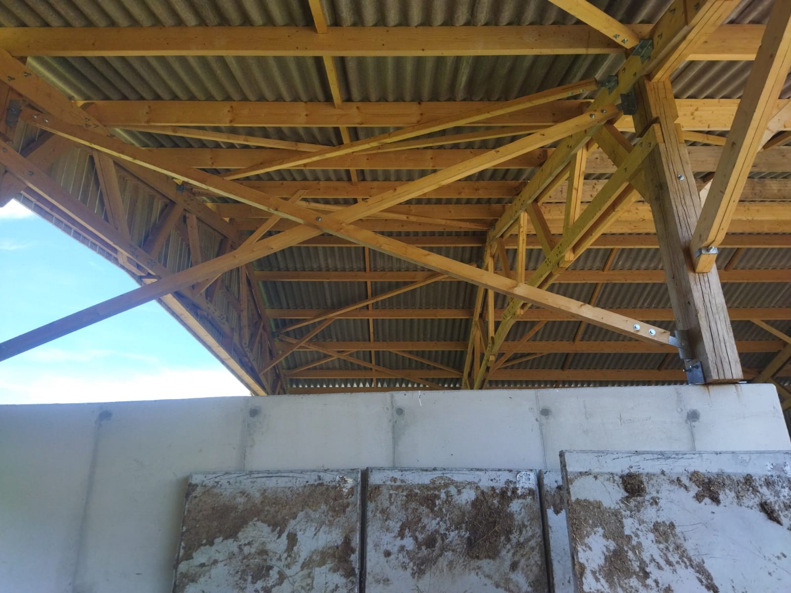 Charpente bois et murs banchés dans fumière