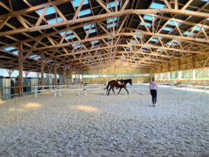 Manège équestre en bois