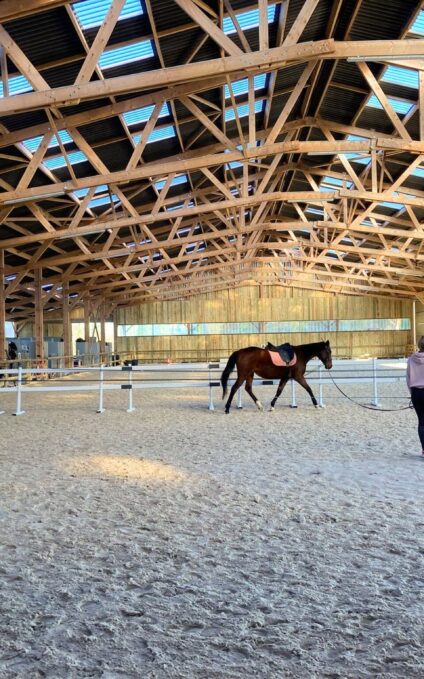 Manège équestre en bois