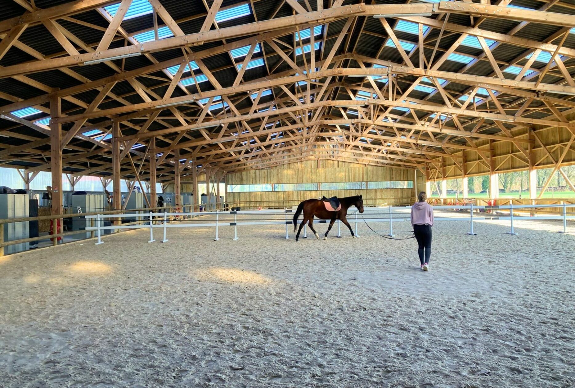 Manège équestre en bois