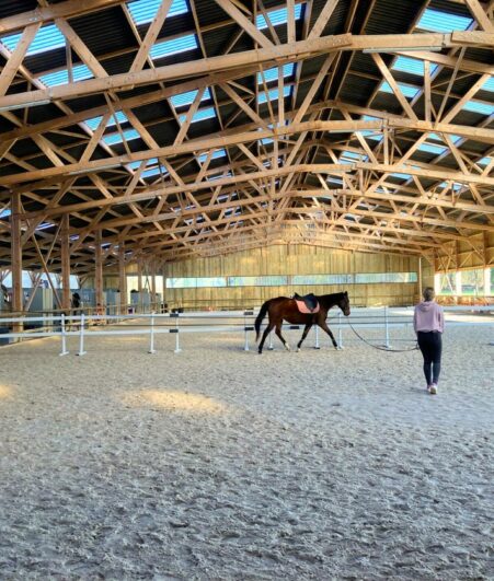 Manège équestre en bois