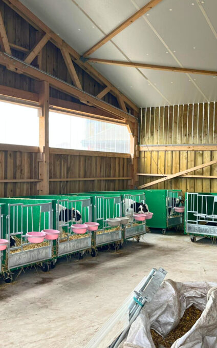 Nurserie veaux laitiers en bois