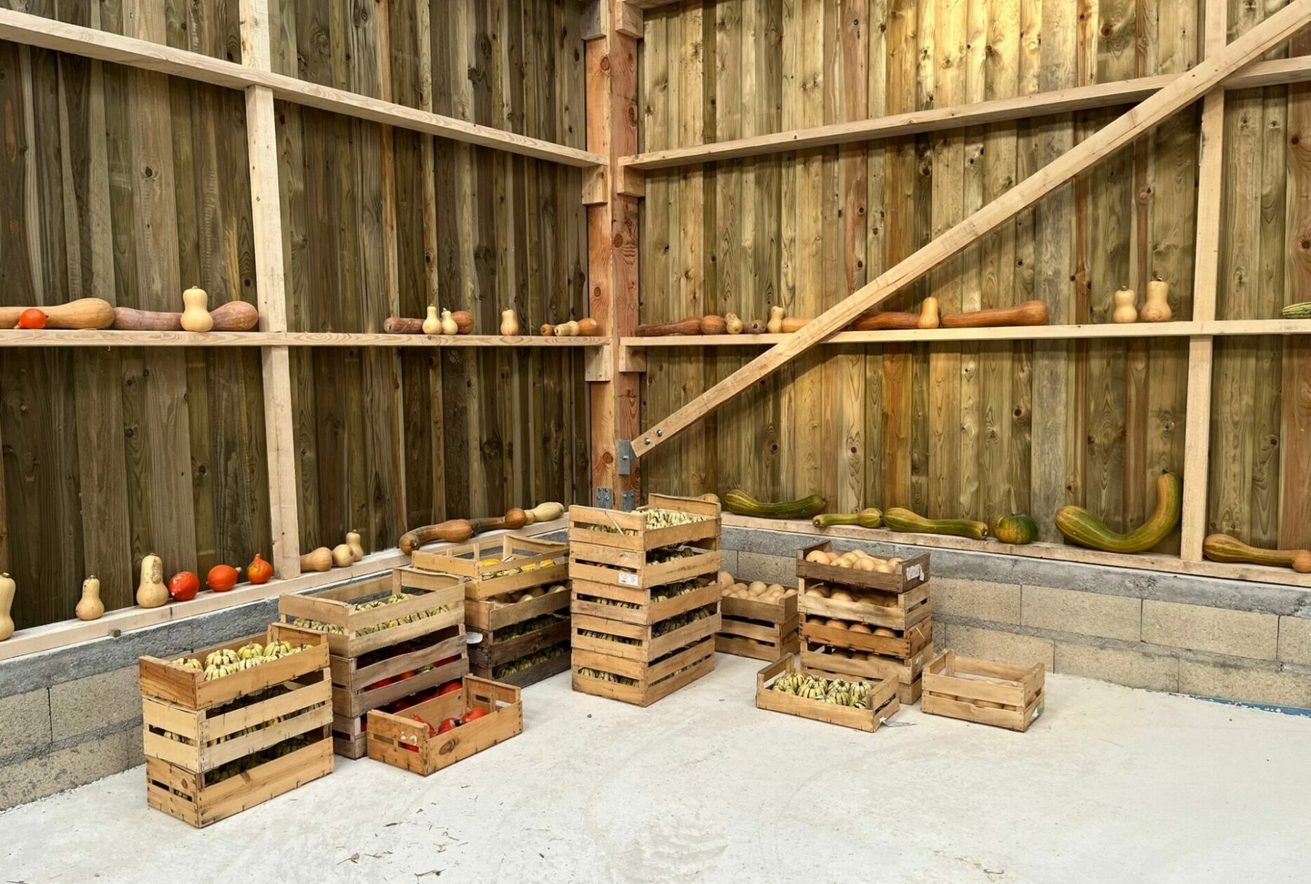 Hangar maraichage en bois