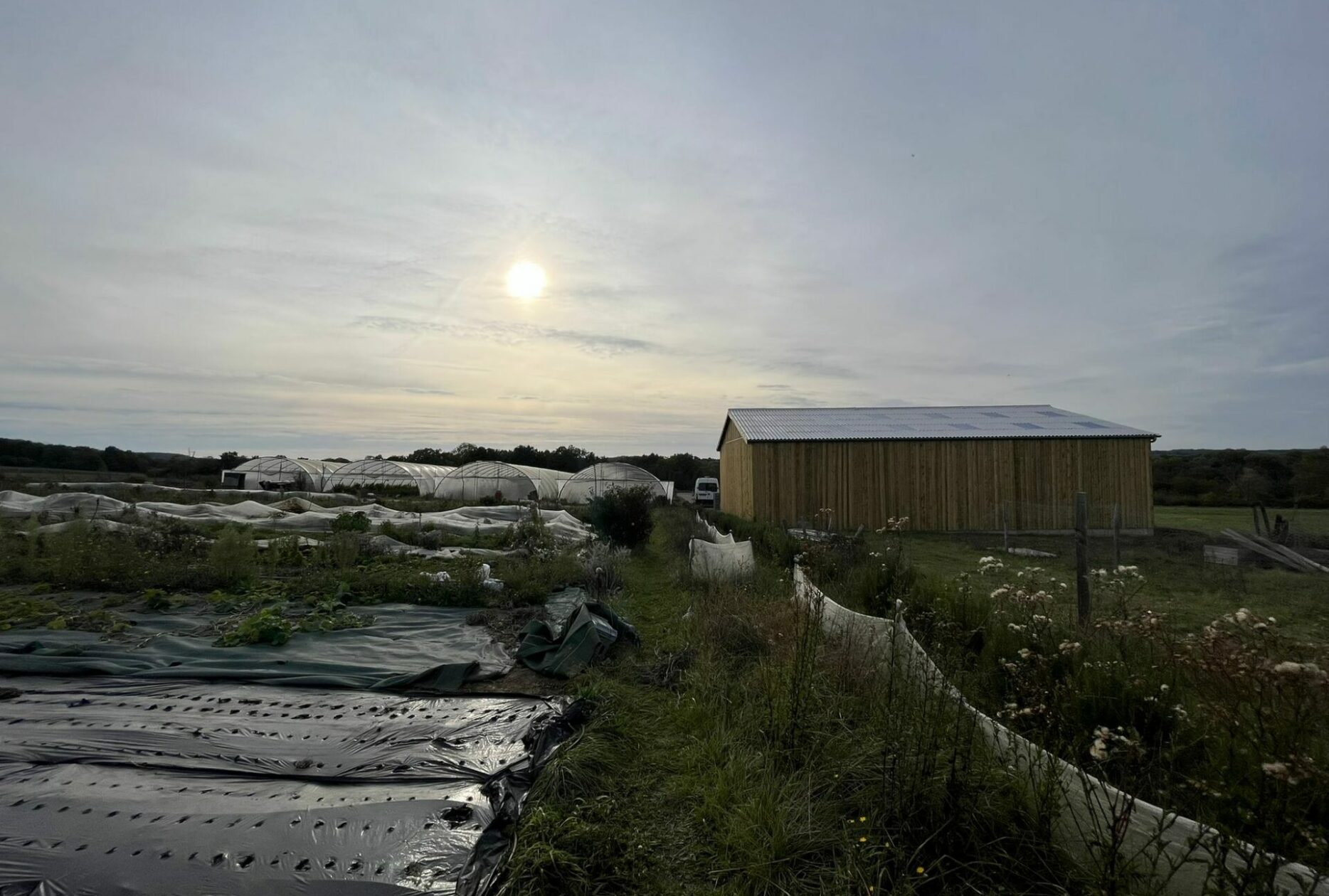 Hangar maraichage en bois