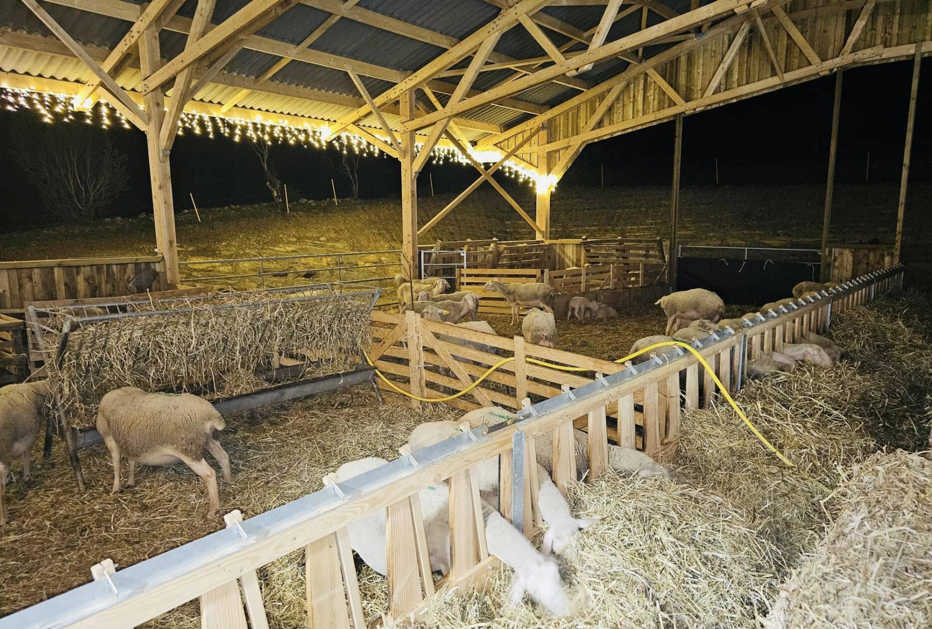 Bergerie en bois massif