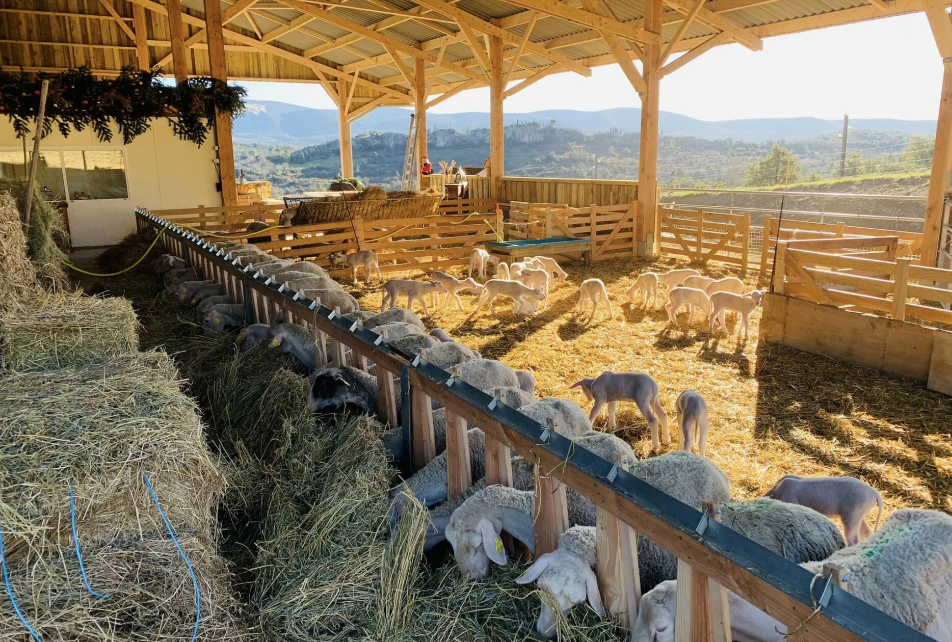 Bergerie en bois