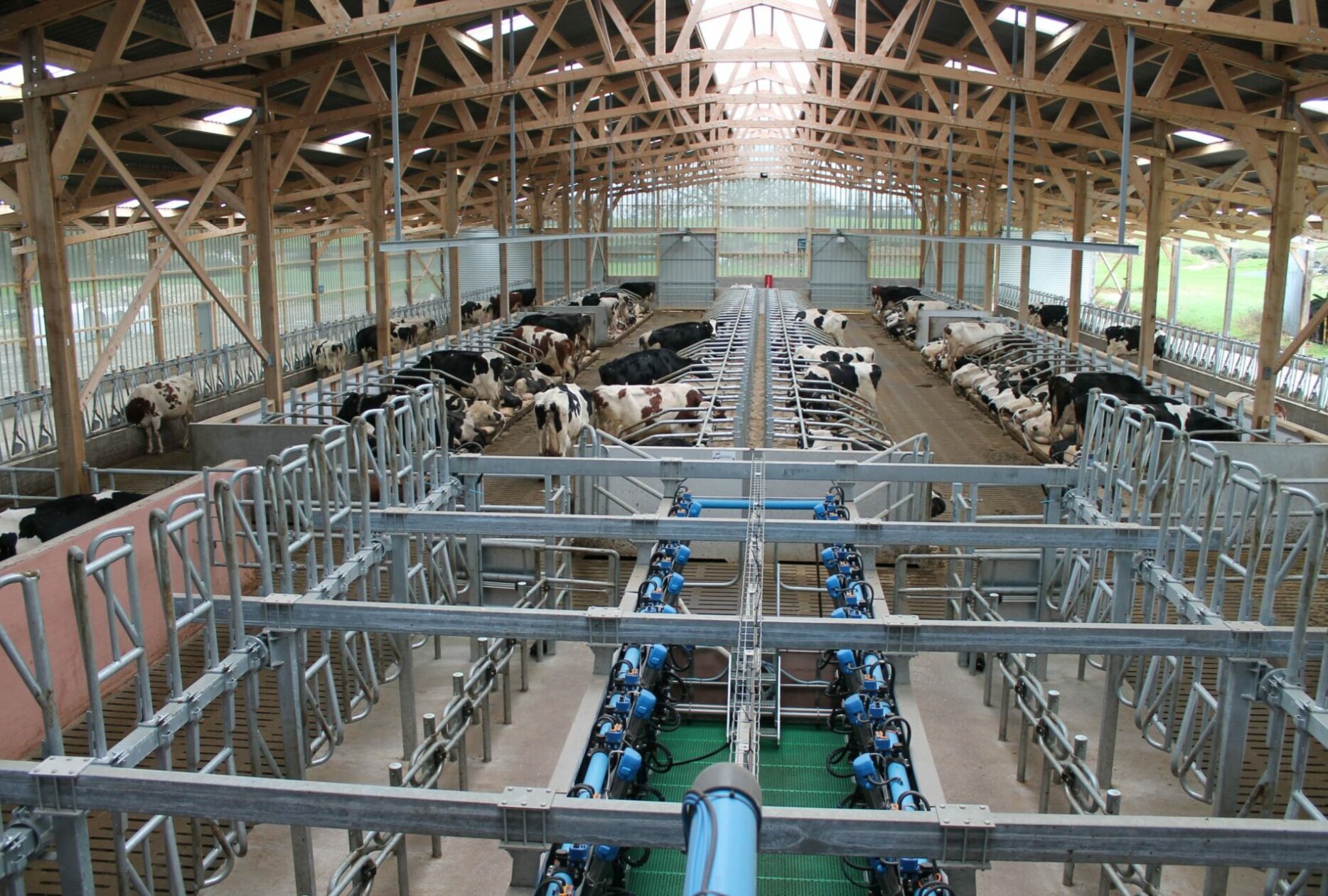 Salle de traite dans stabulation en bois