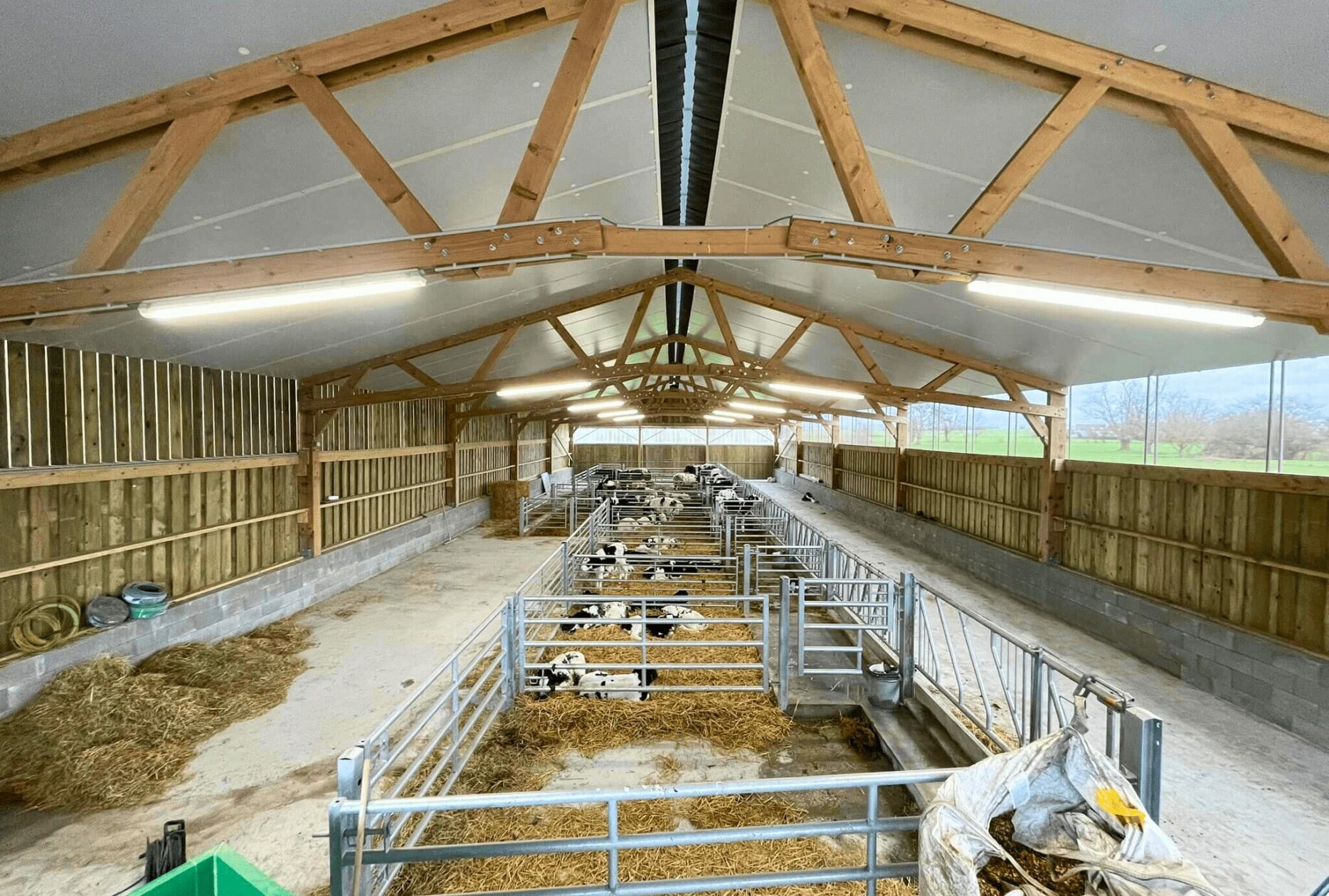Nurserie veaux laitiers en charpente bois