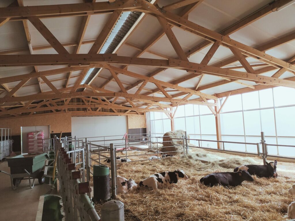 Nurserie veaux en bois