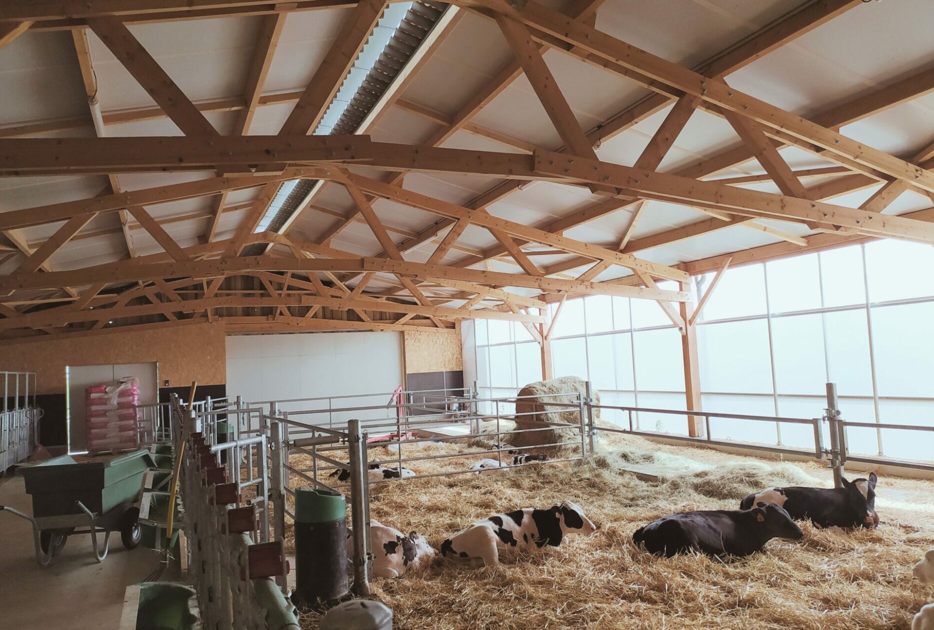 Nurserie veaux en bois