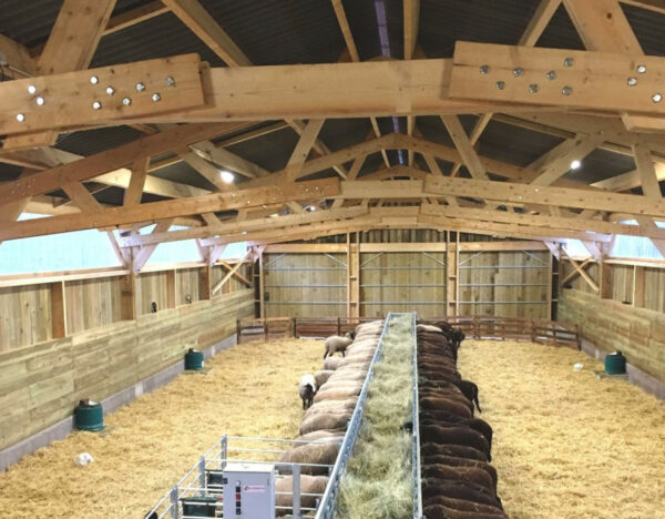 Bergerie Roiné en bois
