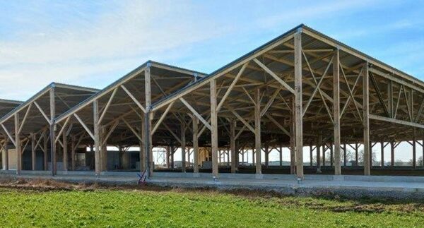 Stabulation vaches en toit d'usine