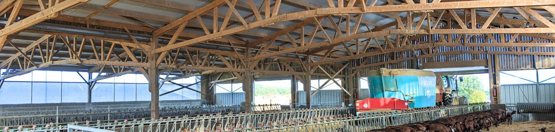 Bâtiment chèvres laitières en bois