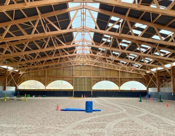 Manège en bois massif Roiné