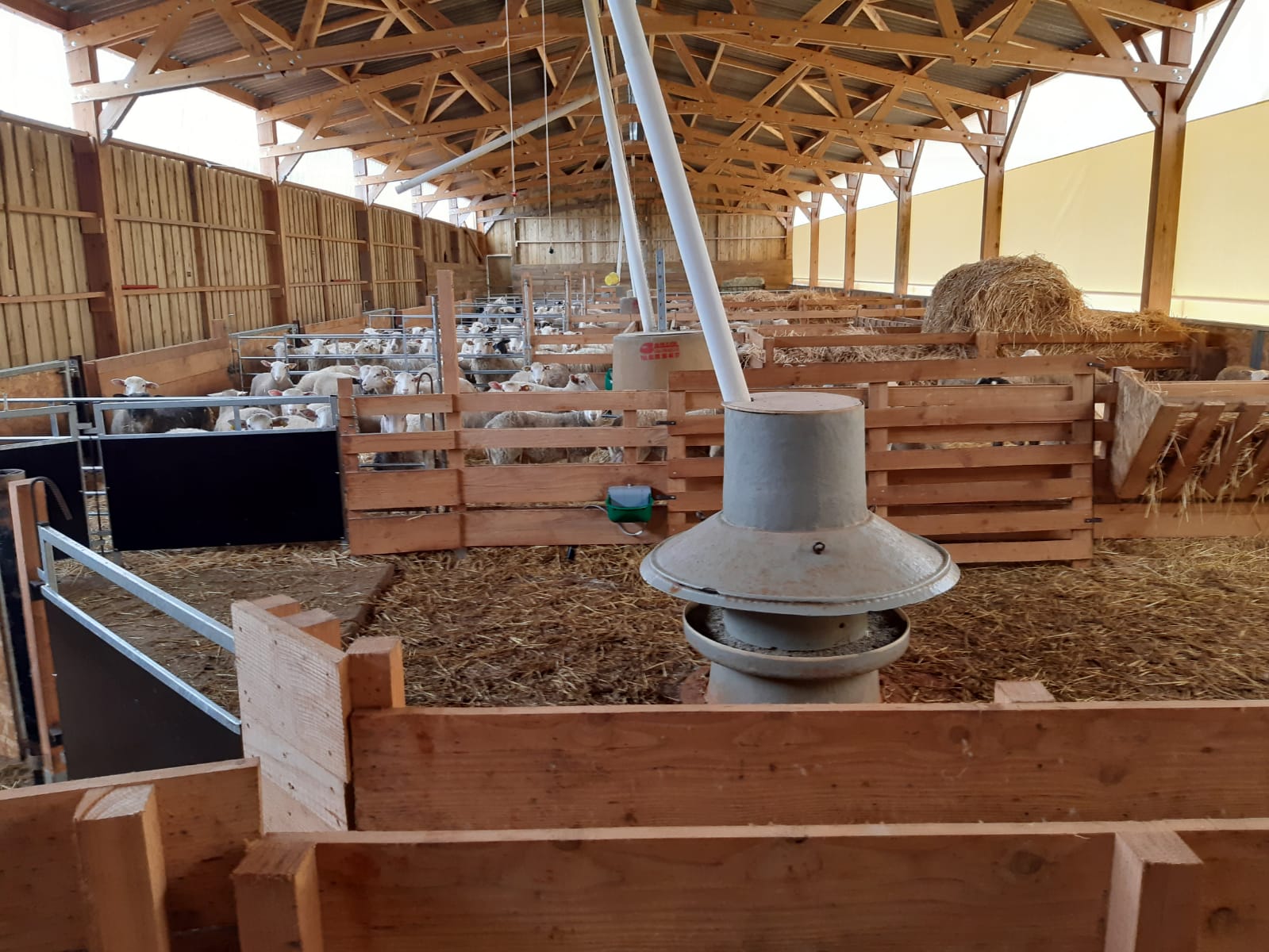 Bergerie en bois Roiné