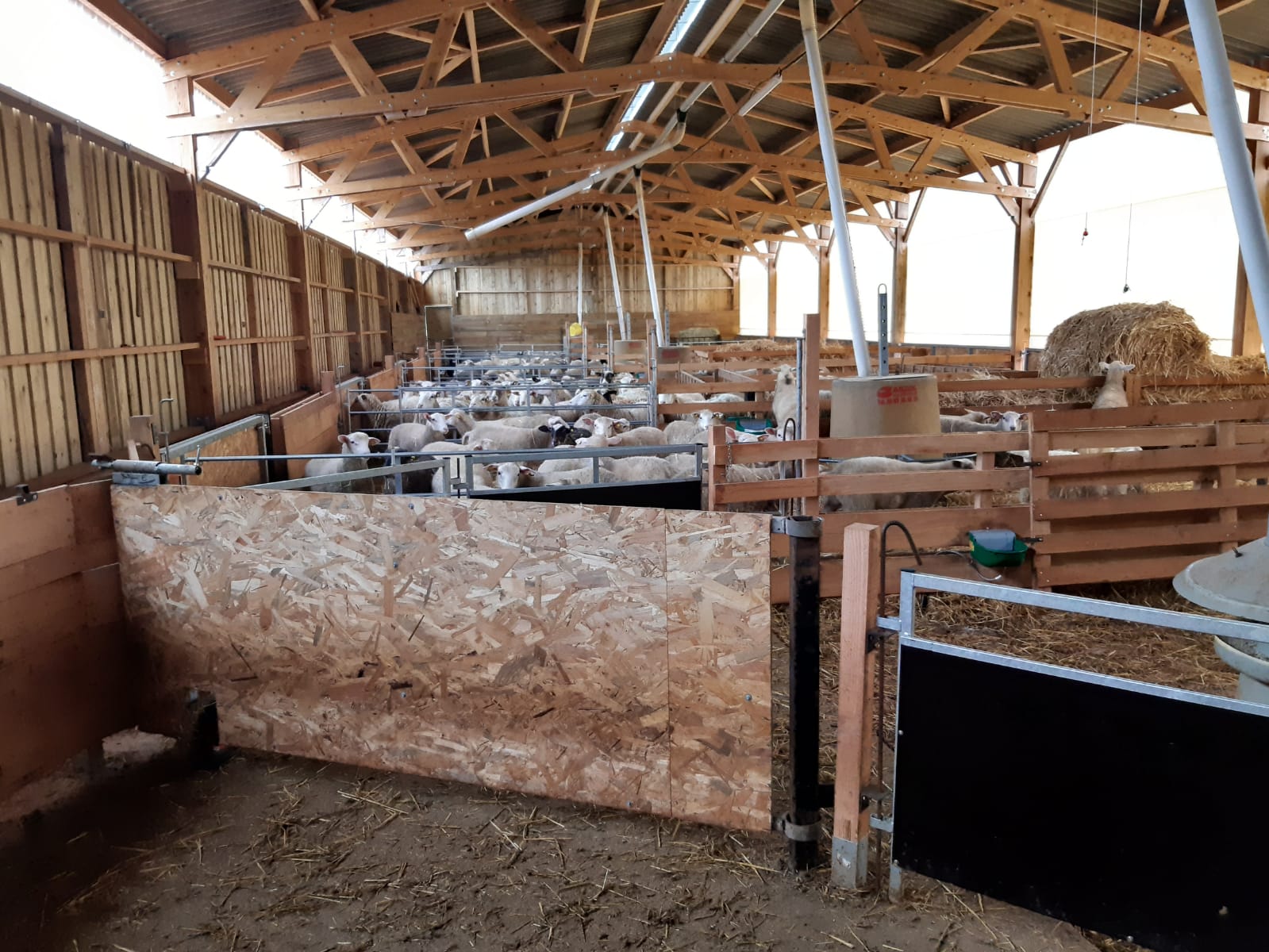 Bergerie Roiné en bois