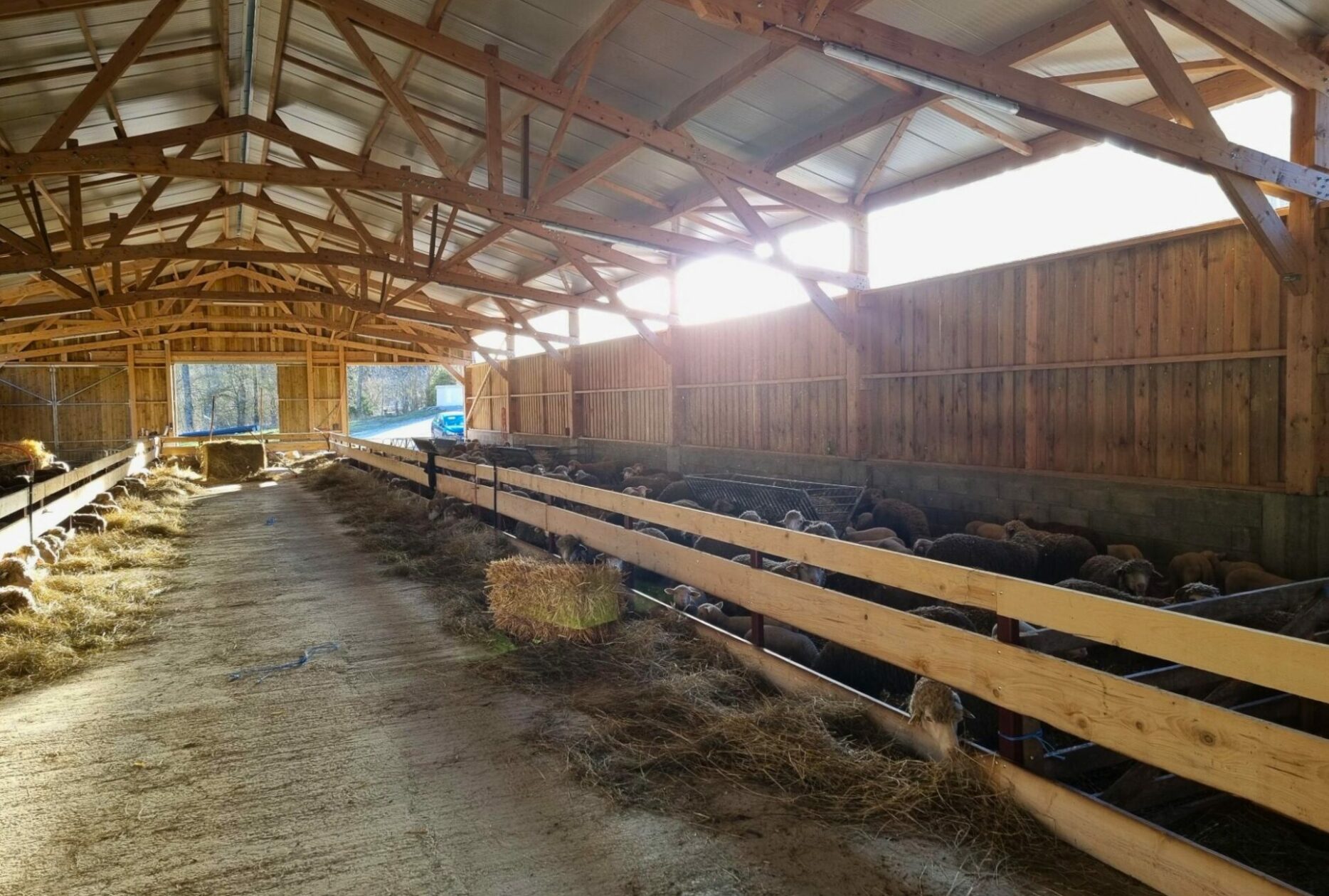 Bergerie en bois