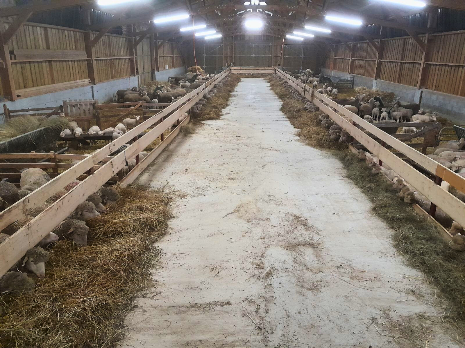 Aménagement bergerie en bois