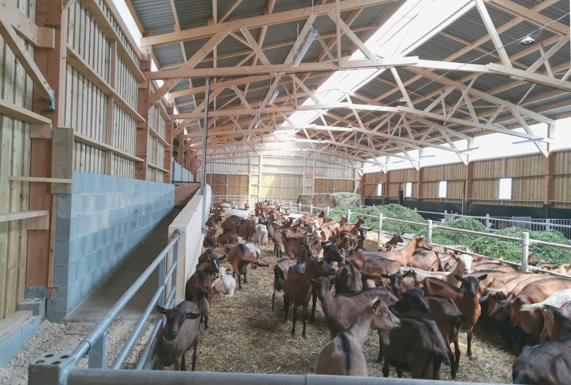 Chèvrerie en charpente bois Roiné