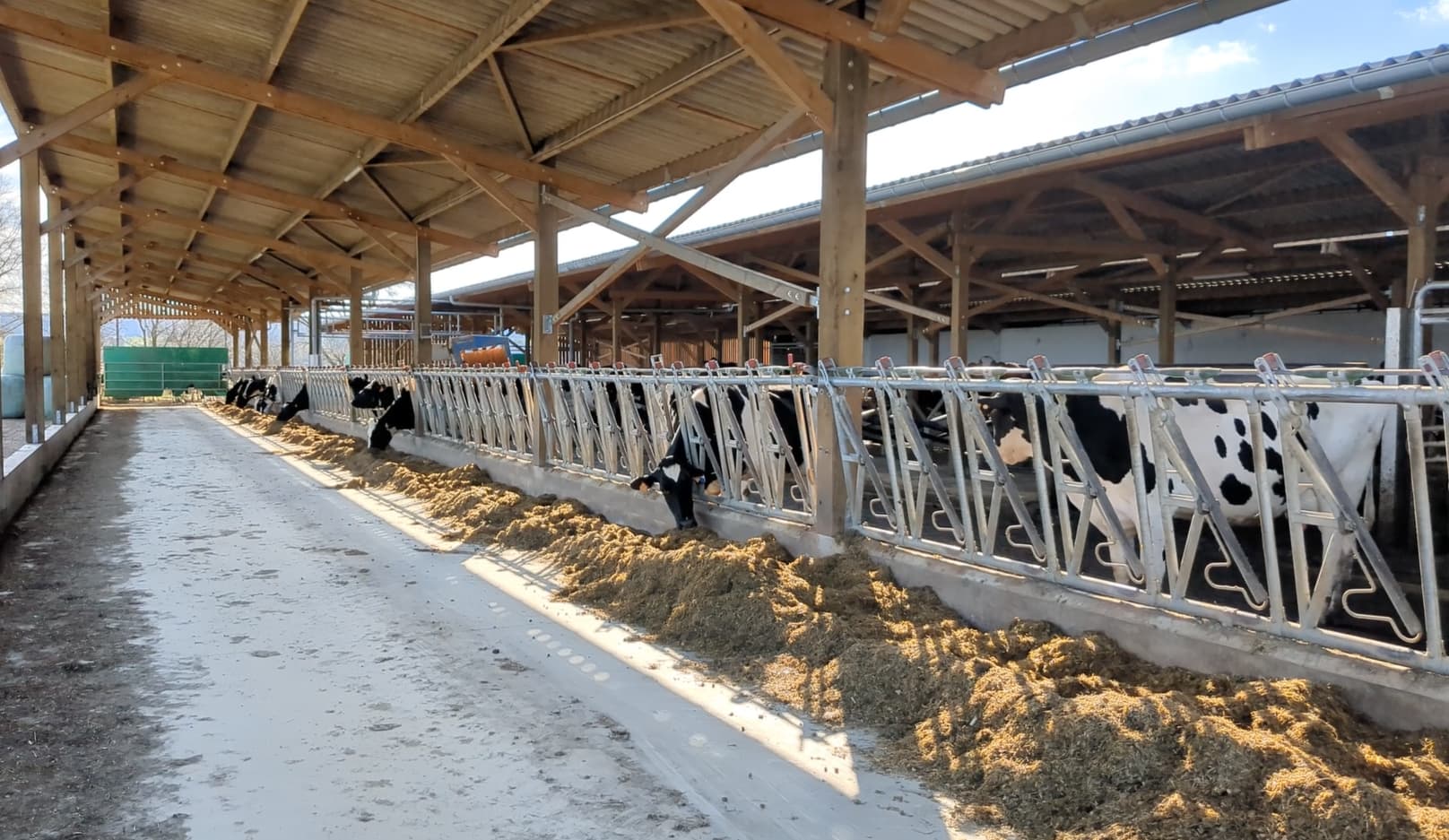 Bâtiment vaches Stabeco Roiné