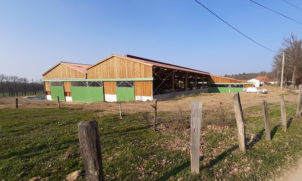 Stabulation vaches en bois
