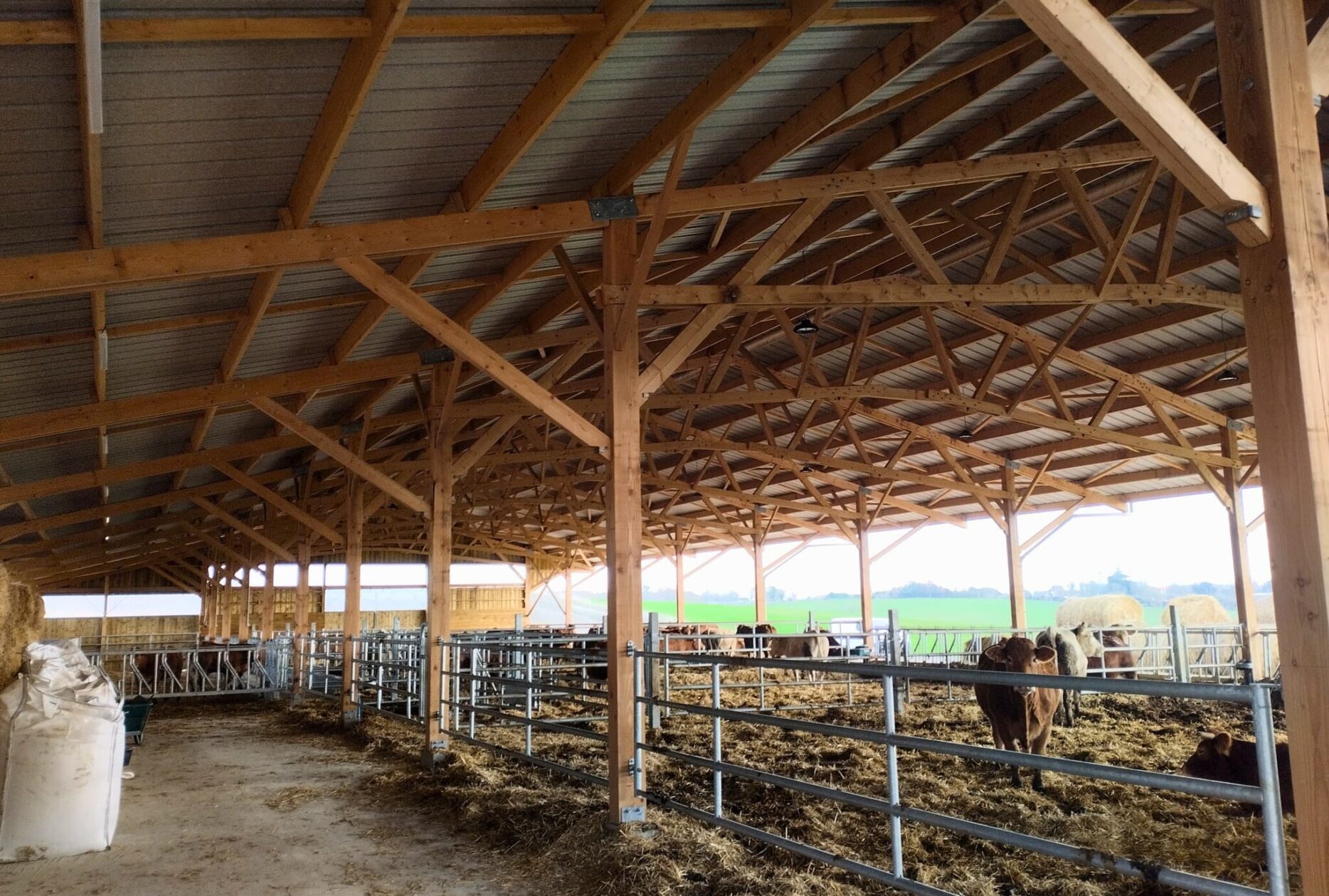Bâtiment vaches en bois Roiné