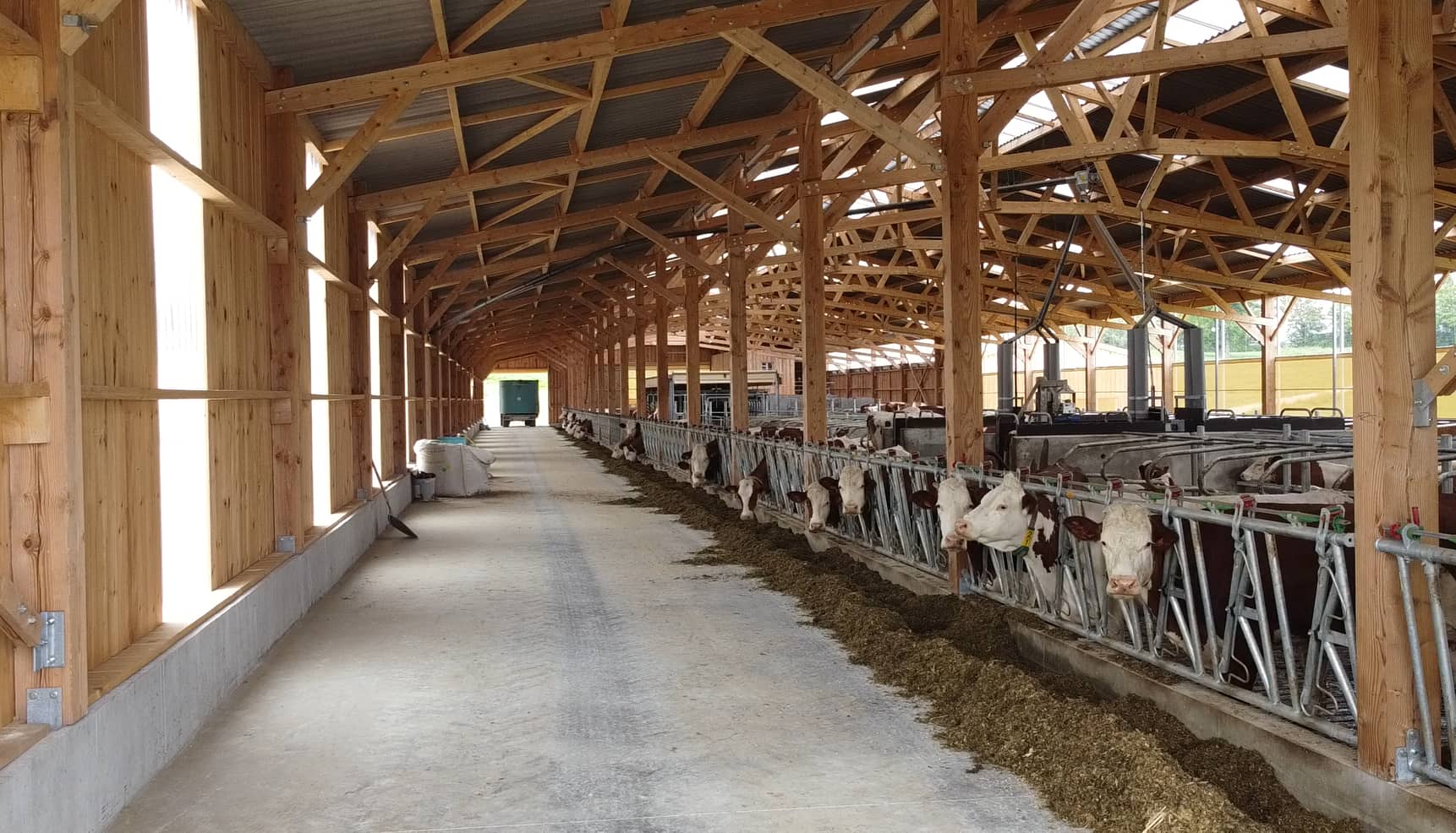 Couloir d'alimentation stabulation laitière en bois Roiné