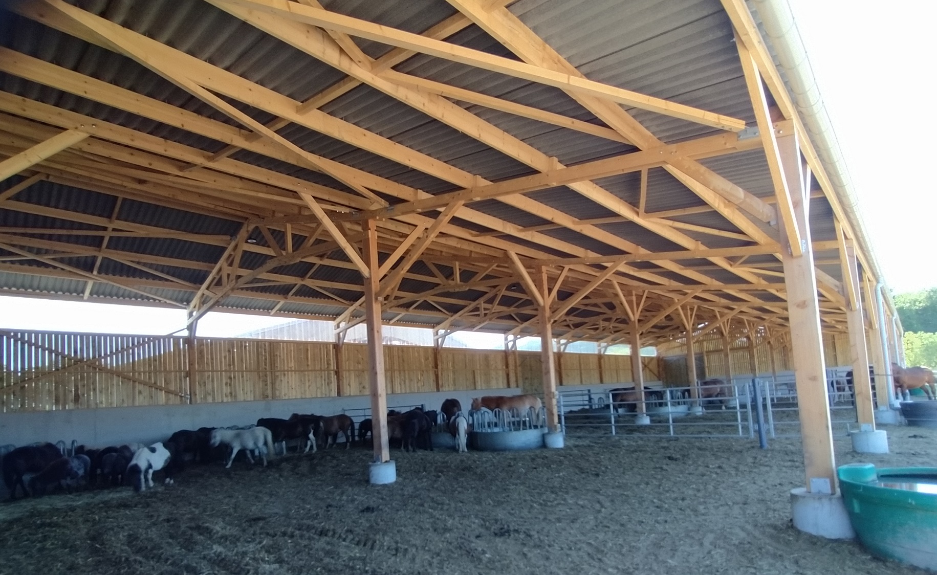 Logement collectif chevaux en bois