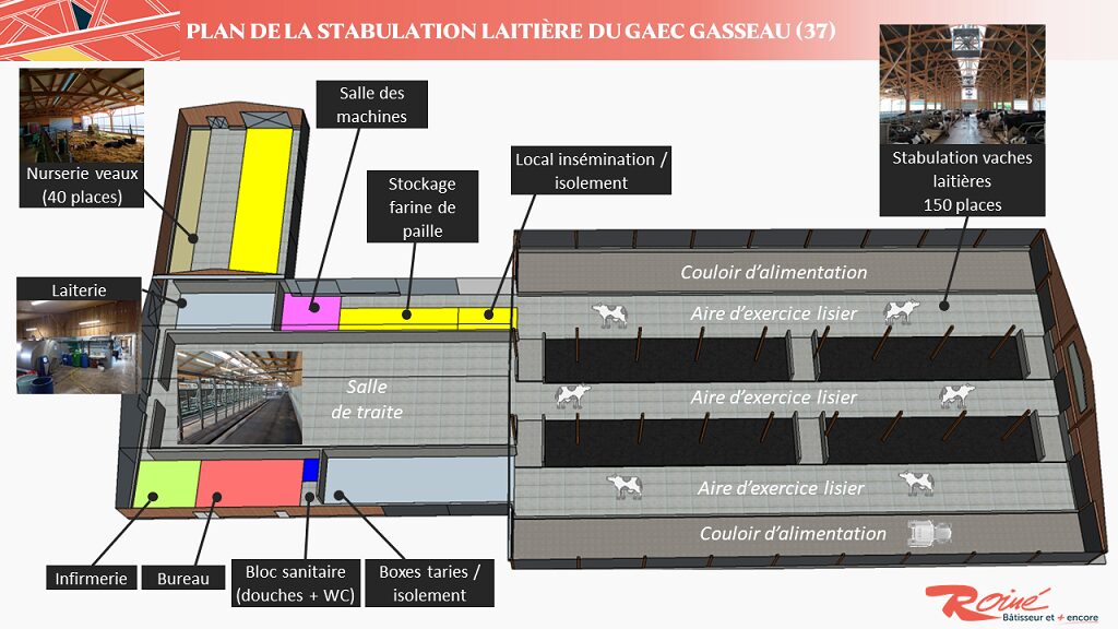 Plan stabulation laitière Roiné