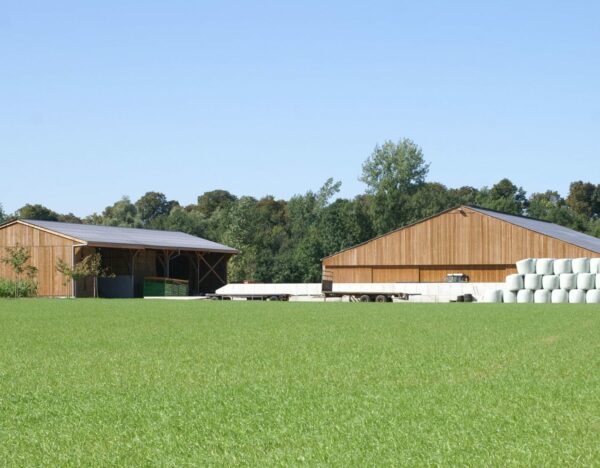 Ensemble de bâtiments en bois Roiné