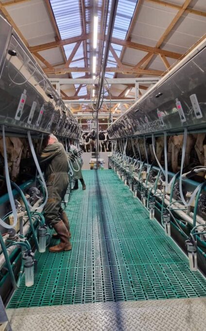 Salle de traite en bois Roiné