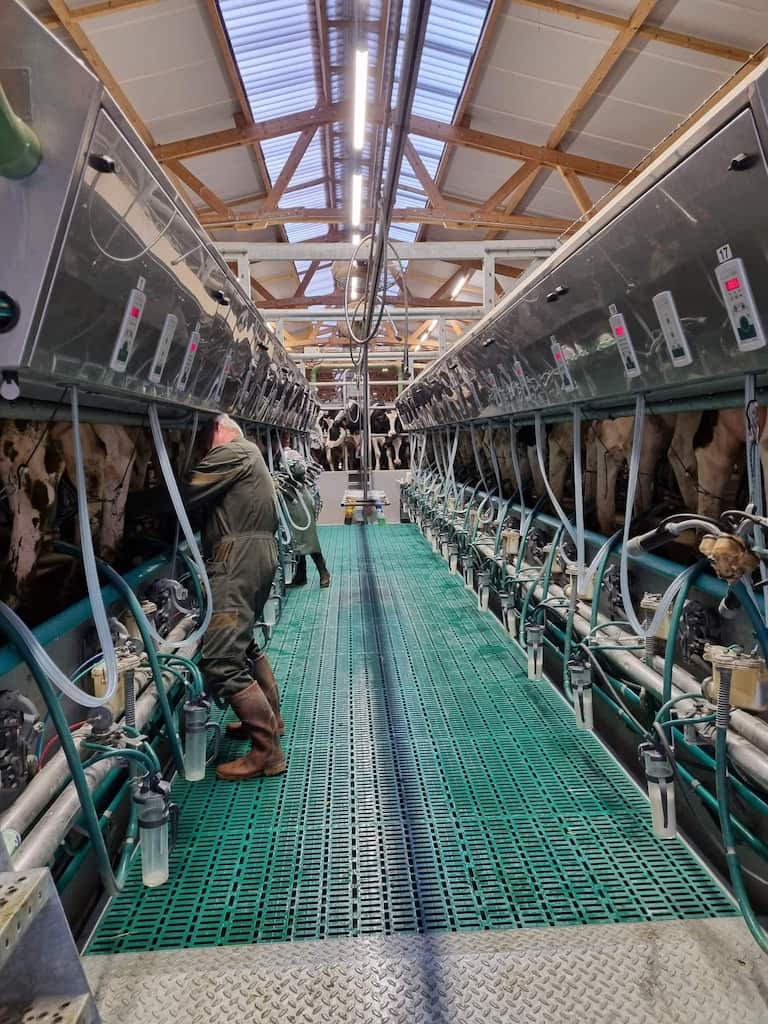 Salle de traite en bois Roiné